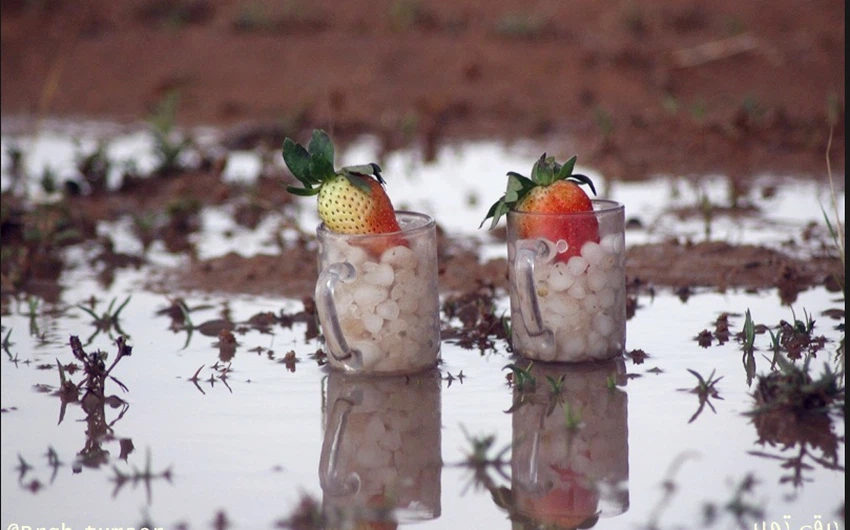 أكواب من الفراولة والبرد - تصوير برق تمير