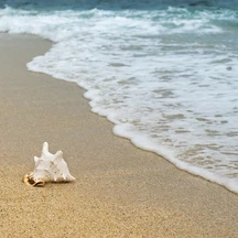لماذا يكون ماء البحر أبرد من رمل الشاطئ في يوم مشمس؟