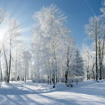 متى ينتهي فصل الشتاء؟