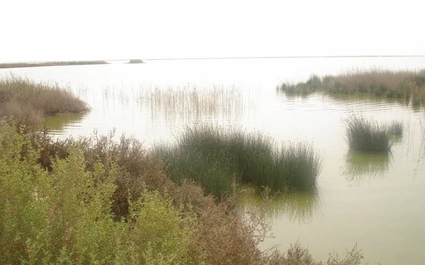 En images : le lac Asfar, la splendeur du désert embrassant l&#39;eau