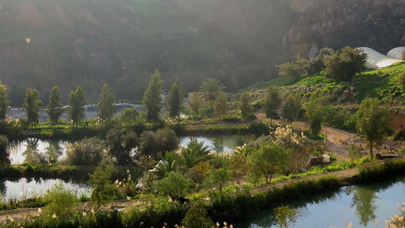 منتجع بحيرة الأسماك - وادي الشتا