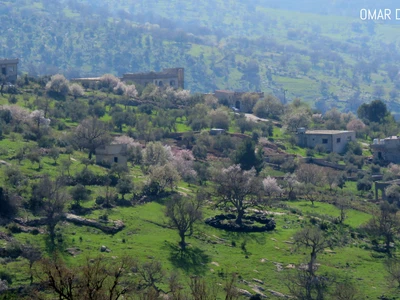 قرية اوصرة - عجلون