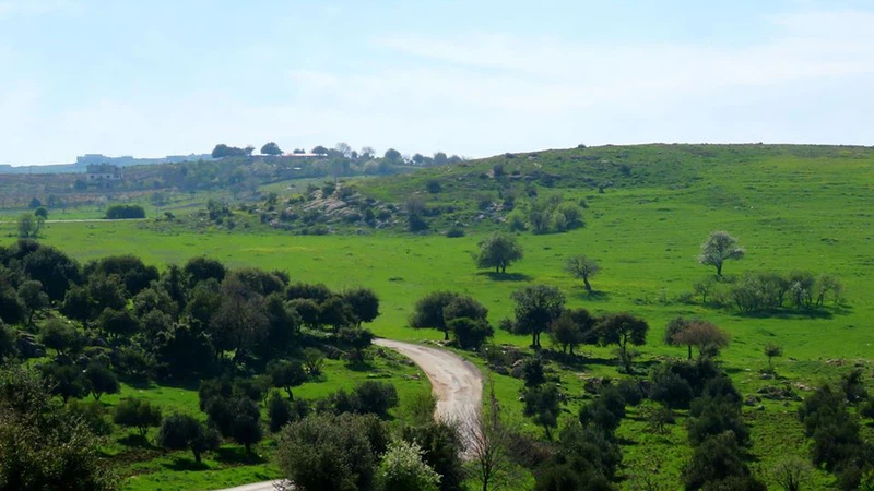 قرية شطنا  - محافظة إربد