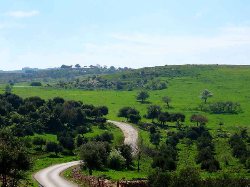 قرية شطنا - محافظة إربد