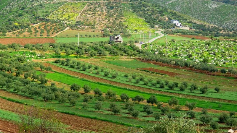 وادي زقيق - عجلون