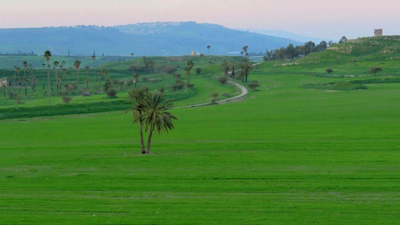 الباقورة - محافظة إربد
