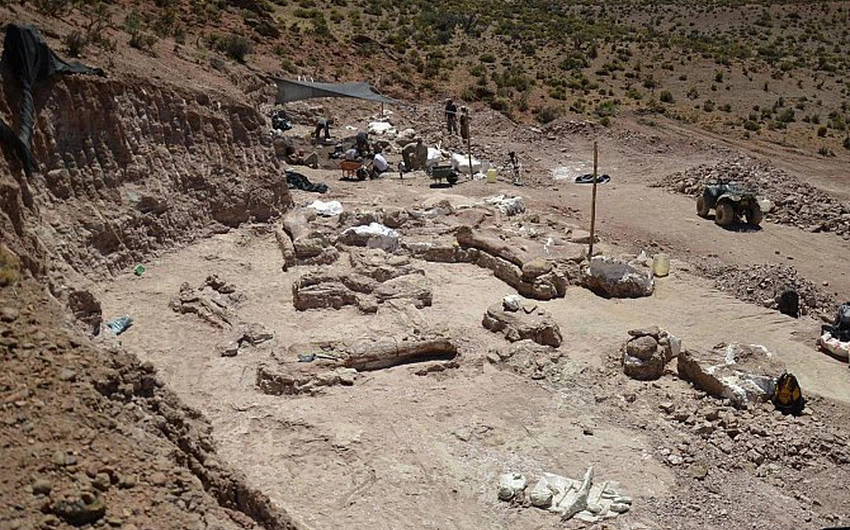 بالصور: علماء يكتشفون حفريات لأحد أكبر ديناصورات العالم بالأرجنتين