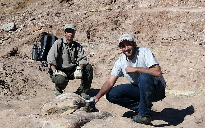 Photos: Des scientifiques découvrent des fossiles de l&#39;un des plus grands dinosaures du monde en Argentine