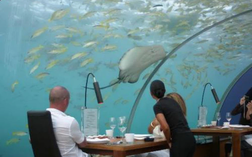 مطعم ايثا الزجاجي تحت الماء/ جزر المالديف: عبارة عن نفق زجاجي تحت سطح البحر، ويعتبر الأول من نوعه.