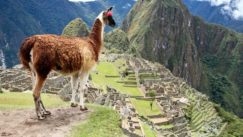 ماتشو بيتشو 20 photos that will make you want to visit Machu Picchu