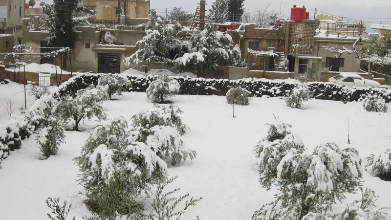 أرشيفية لثلوج محافظة السويداء ما هو مدى تأثر مناطق سوريا بالحالة الجوية القطبية المتوقعة الأسبوع القادم