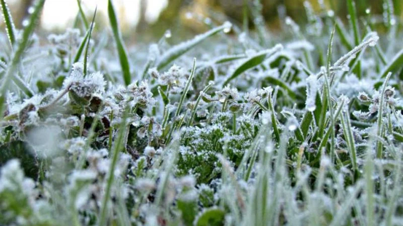 What Is Frost And What Factors Lead To Its Formation ArabiaWeather What is frost and what factors lead to its formation arabiaweather
