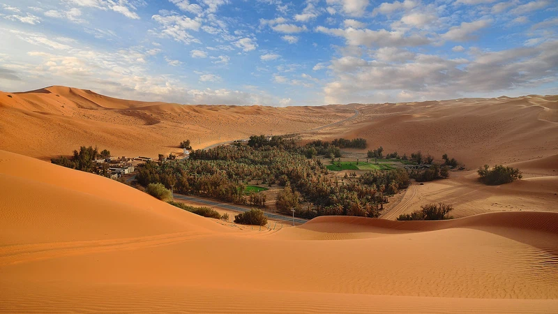 السعودية السعودية