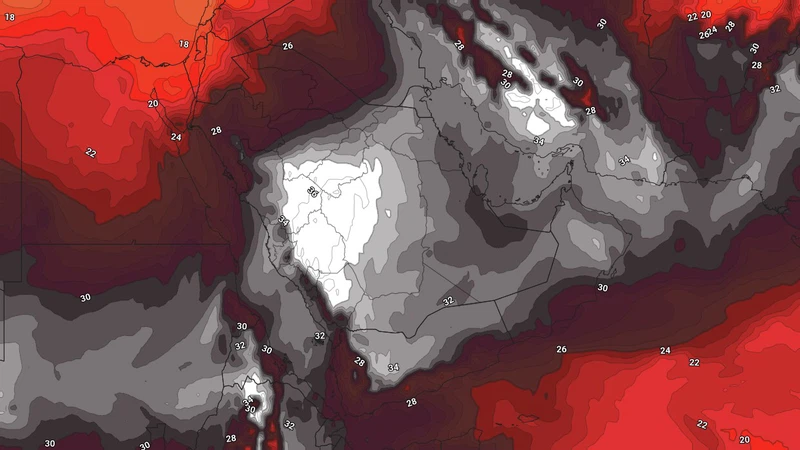 Kuwait | The heat dome imposes the first heat wave on the country's ...
