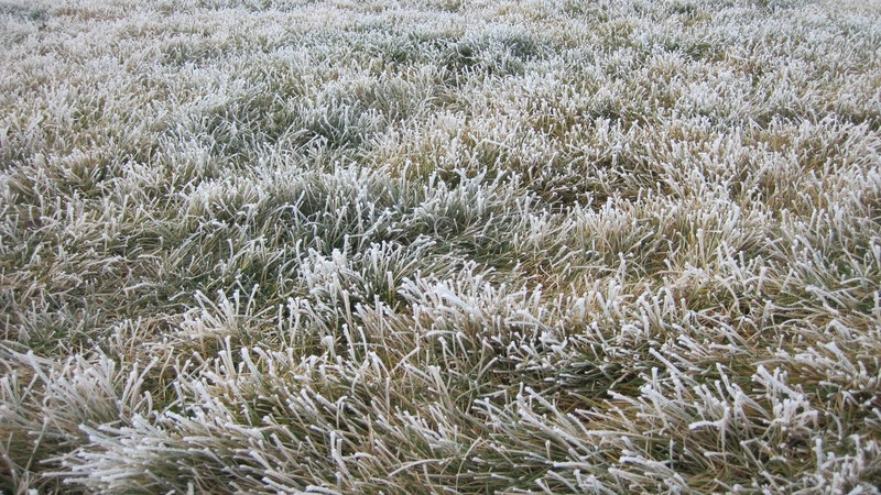 صورة تعبيرية خطر تشكل الصقيع يطال أجزاء واسعة من المملكة الليلة القادمة