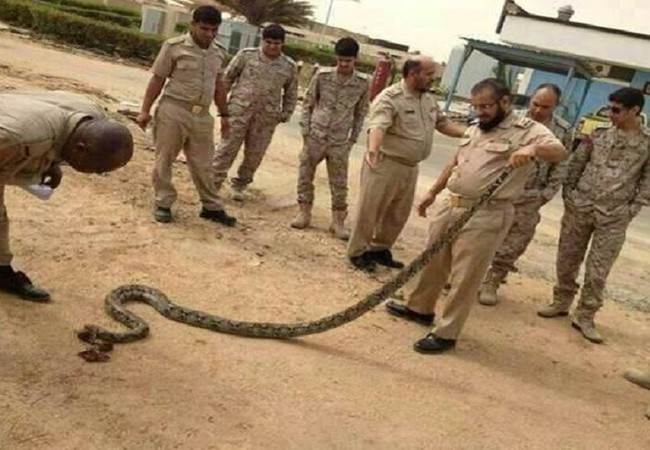 قاعدة الملك سلمان الجوية ويكيبيديا