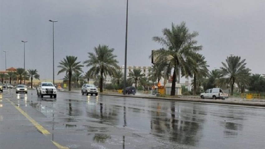 Emirates - National Center of Meteorology | An extension of an atmospheric depression that brings scattered rain of varying intensity and alerts of dusty winds.Details