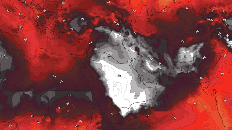 لأول مرة في تموز.. موجة حر قوية تضرب عدة دول عربية مع اشتداد القبة الحرارية | عرب تايم لأول مرة في تموز.. موجة حر قوية تضرب عدة دول عربية مع اشتداد القبة الحرارية | عرب تايم