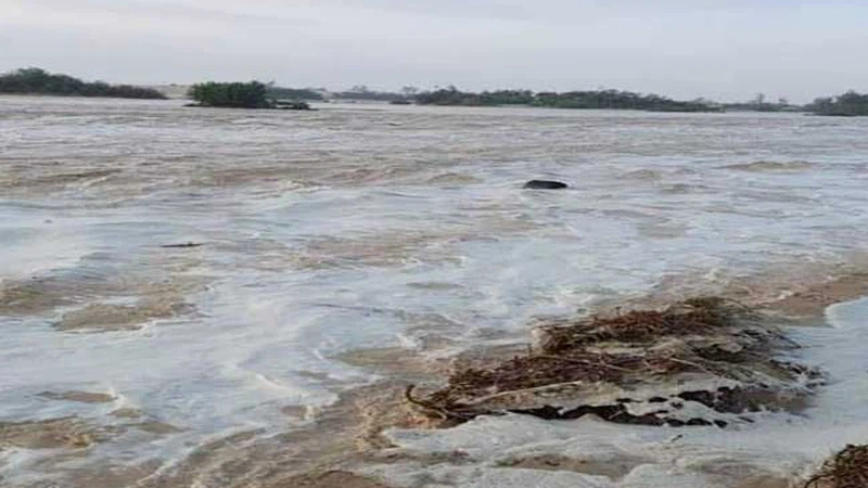 وادي العريش بين التغيرات المناخية والسيول.. تحديات الطبيعة ودروس المستقبل وادي العريش بين التغيرات المناخية والسيول.. تحديات الطبيعة ودروس المستقبل