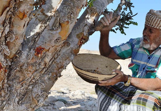 التاريخ العماني العريق يتجلى في اسم "عاصفة لبان" في بحر العرب | طقس العرب | طقس العرب
