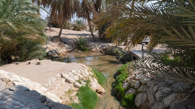 Musa Spring Water Watch the video: Rain revives the Ain al-Sadr spring in Wadi Musa ...