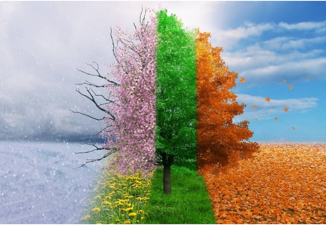 The Four Seasons .. How do they occur? | ArabiaWeather | ArabiaWeather