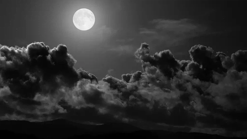 مدينة جدة .. ضباب خفيف وسحب منخفضة صباح الخميس مدينة جدة .. ضباب خفيف وسحب منخفضة صباح الخميس