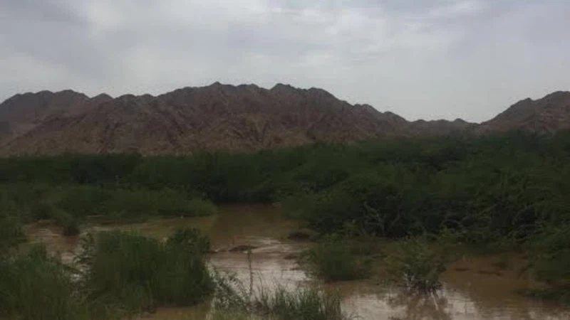 سيل وادي الليث فقدان 5 أشخاص فاجأهم سيل كبير خلال تنزههم في وادي الليث