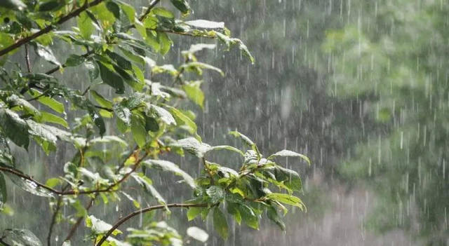 Layyah Weather Layyah Weather - Weather Forecast for Layyah , Pakistan | ArabiaWeather