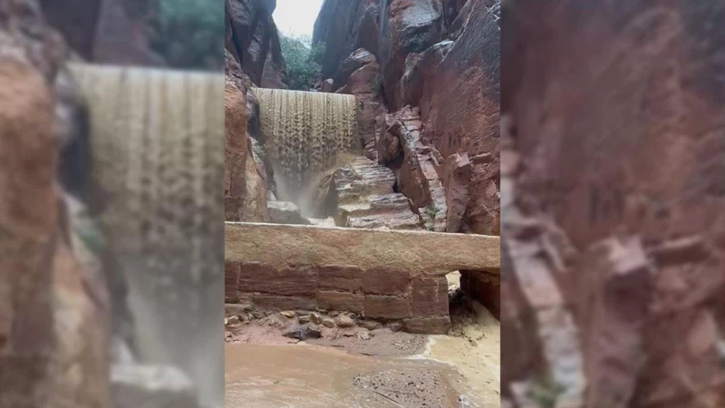 سلطة إقليم البترا.. إجلاء مئات السياح جراء السيول دون تسجيل إصابات | عرب تايم سلطة إقليم البترا.. إجلاء مئات السياح جراء السيول دون تسجيل إصابات | عرب تايم