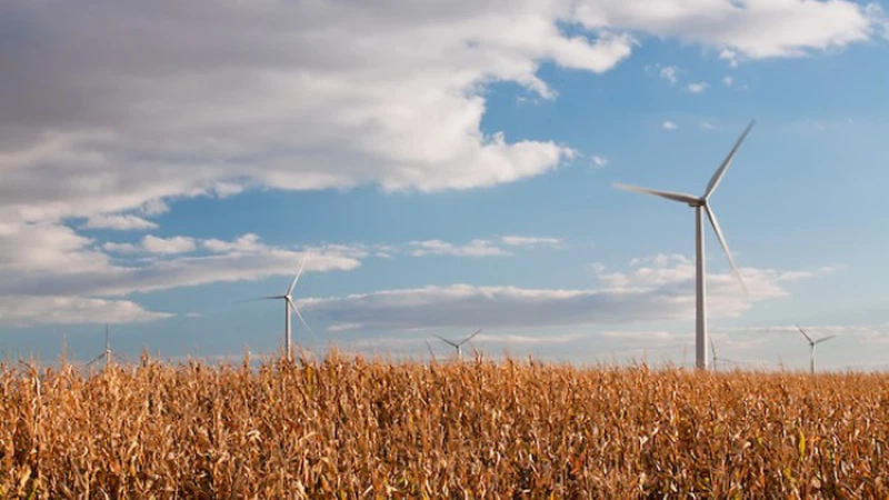 رياح نشطة متوقعة عصر الأربعاء، وأجواء مائلة للبرودة ليلاً رياح نشطة متوقعة عصر الأربعاء، وأجواء مائلة للبرودة ليلاً