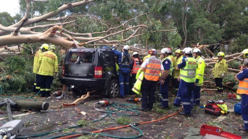 مقتل رجل إثر سقوط شجرة على سيارته جراء العواصف بأستراليا مقتل رجل إثر سقوط شجرة على سيارته جراء العواصف بأستراليا