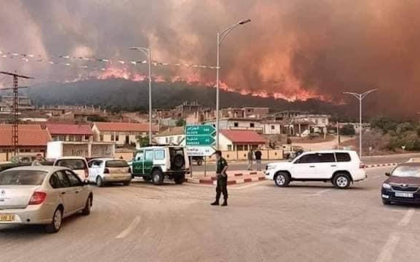 Forest fires in Algeria are still raging, and the death toll has risen to 26