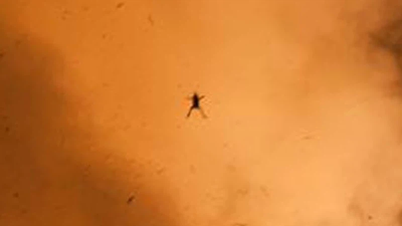 شاهد بالصور : ضفدع ناسا المنحوس شاهد بالصور : ضفدع ناسا المنحوس