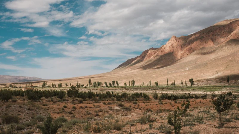 « Al-Zaaq » : À partir d’aujourd’hui, nous vivrons les jours les plus beaux et les plus merveilleux de l’année dans ce qu’on appelle la « saison Hasam ». « Al-Zaaq » : À partir d’aujourd’hui, nous vivrons les jours les plus beaux et les plus merveilleux de l’année dans ce qu’on appelle la « saison Hasam ».