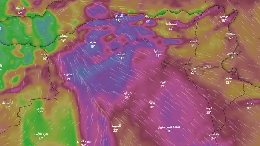 الجزائر | طقس العرب يُحذر من عاصفة رملية قوية تؤثر على البلاد خلال الأيام القادمة