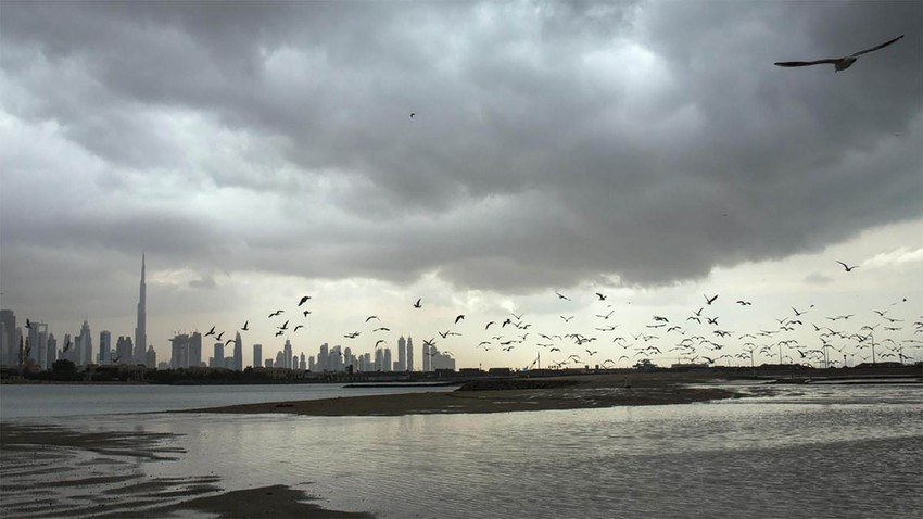 قطر: فُرص تكاثر سحب الحُقبان على أجزاء من الدولة قائمة يوم الخميس