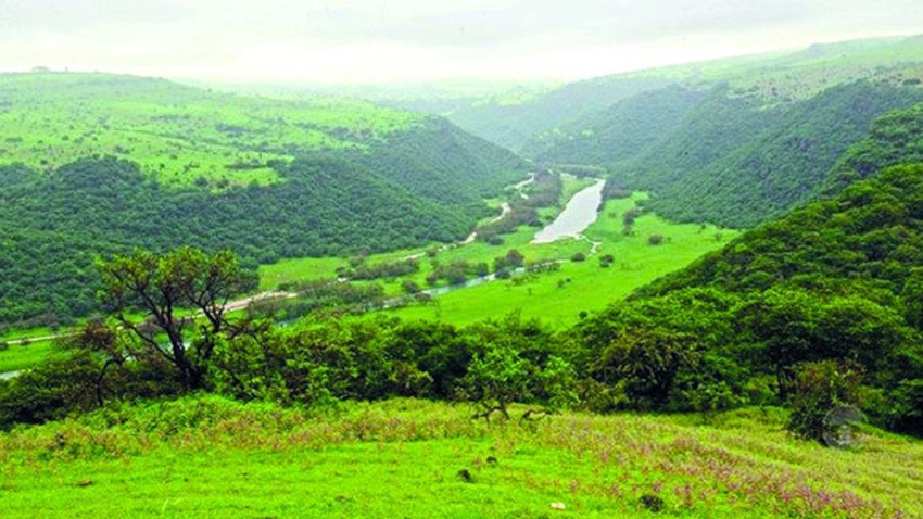 Oman: The activity of Khareef Dhofar improved in the middle of this week