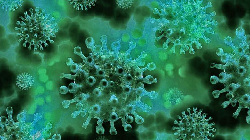 ما حقيقة فيروس "NeoCov" الذي تم اكتشافه مؤخرا في جنوب افريقيا؟ وهل يشكل خطرا على البشر؟