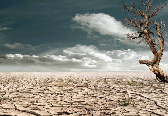 تعريف التصحر ونسبة التصحر في الوطن العربي والعالم طقس العرب