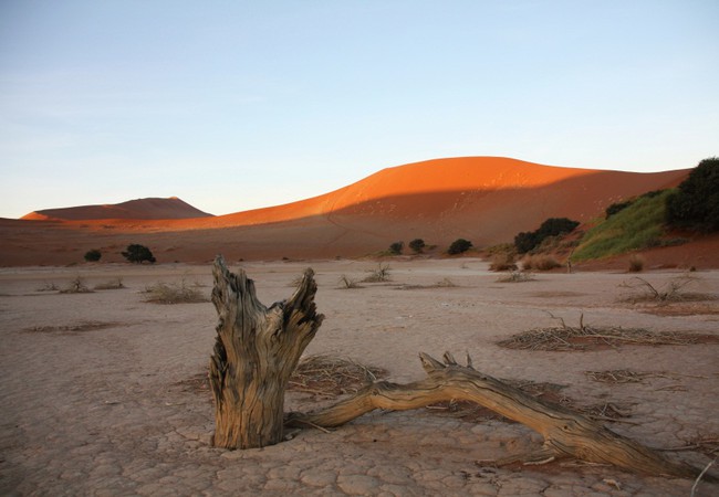مكافحة التصحر وحلول التصحر طقس العرب