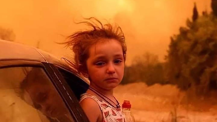 Video | Algeria is burning and crying out.. Tragic scenes from the heart of the event