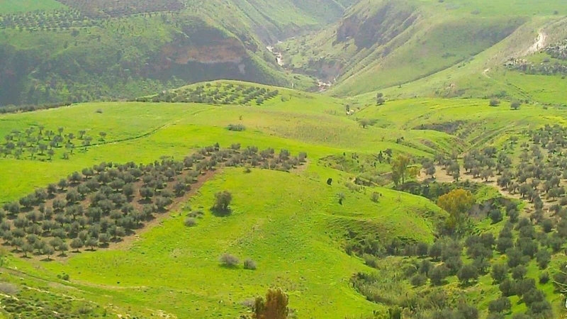 The best places to visit in Jordan during the spring season ...