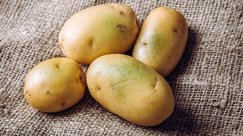 لماذا تتحول البطاطس إلى اللون الأخضر؟ وهل تصبح سامة؟