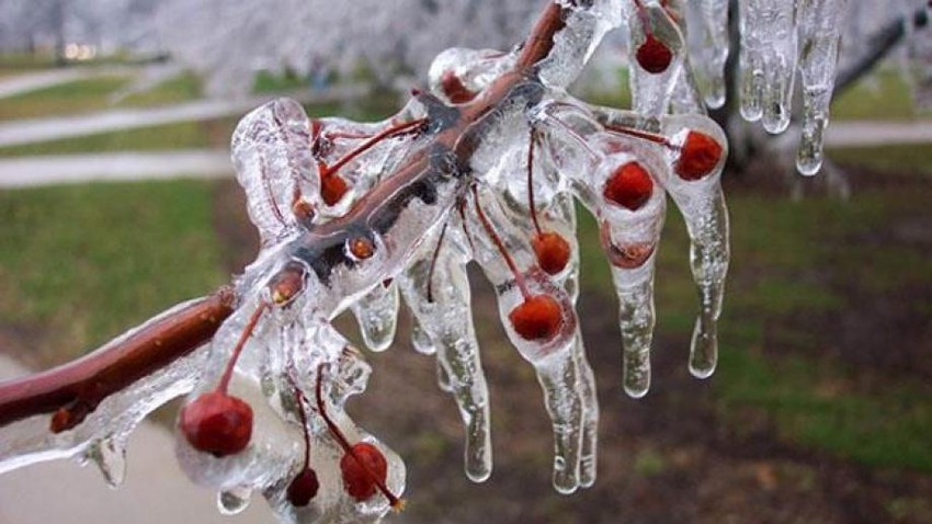 Jordan | Temperatures below zero degrees Celsius were recorded in various regions on Tuesday morning