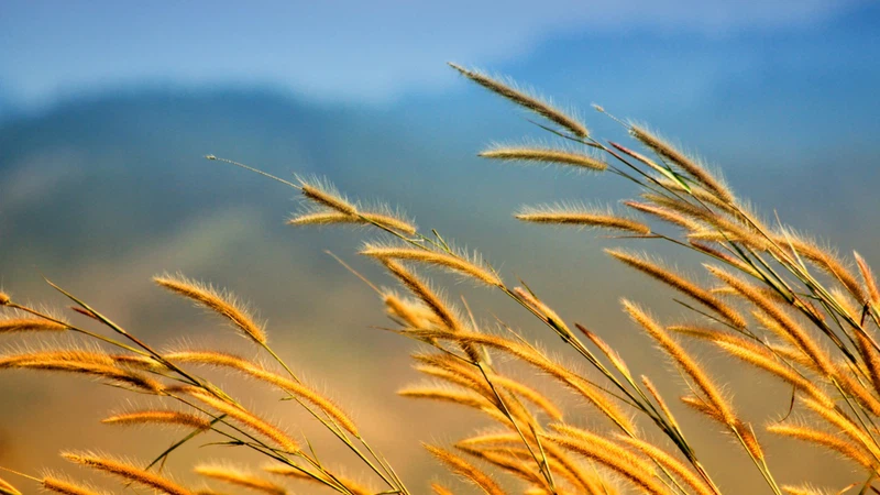 الأحد | اشتداد مُتوقع على حدة الموجة الحارة وتوصيات هامة الأحد | اشتداد مُتوقع على حدة الموجة الحارة وتوصيات هامة