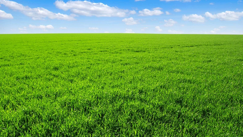 العراق | طقس بارد نسبياً الاربعاء وزخات من الامطار في جنوب البلاد العراق | طقس بارد نسبياً الاربعاء وزخات من الامطار في جنوب البلاد