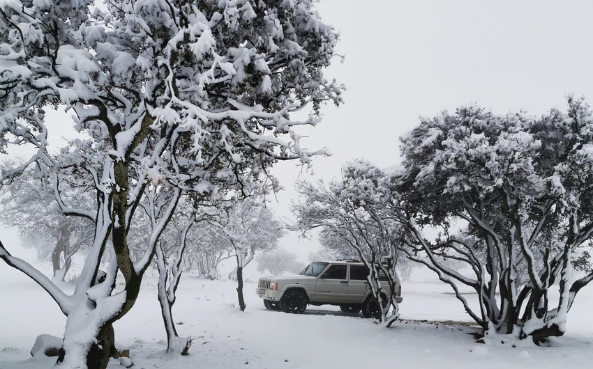  بالفيديو والصور | الجنوب يشهد الثلجة السادسة هذا الشتاء... شاهد  