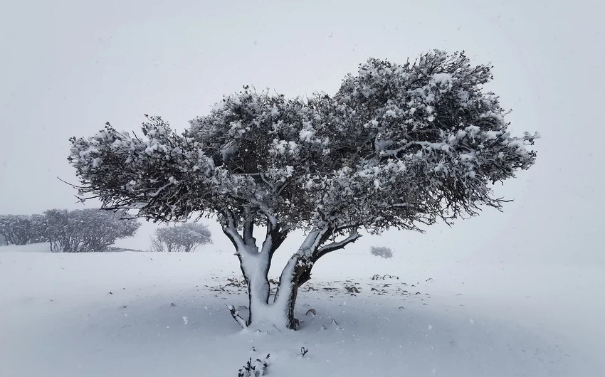 The south is experiencing the sixth snow this winter ... Watch