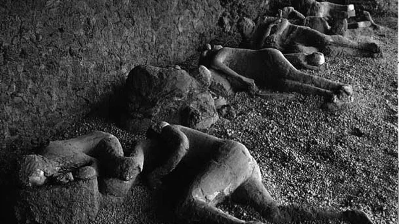 جثث متحجرة شاهدة على واحدة من أكبر الكوارث في التاريخ  جثث متحجرة شاهدة على واحدة من أكبر الكوارث في التاريخ